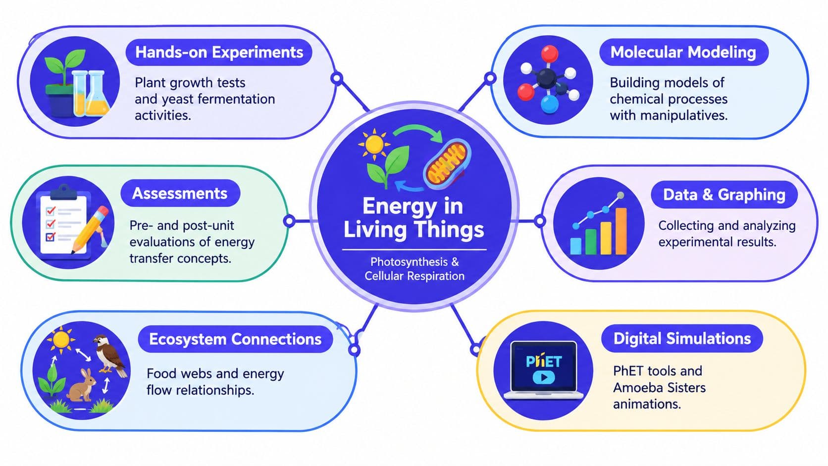 A diagram illustrating a science unit about energy in living things covering photosynthesis and cellular respiration concepts.