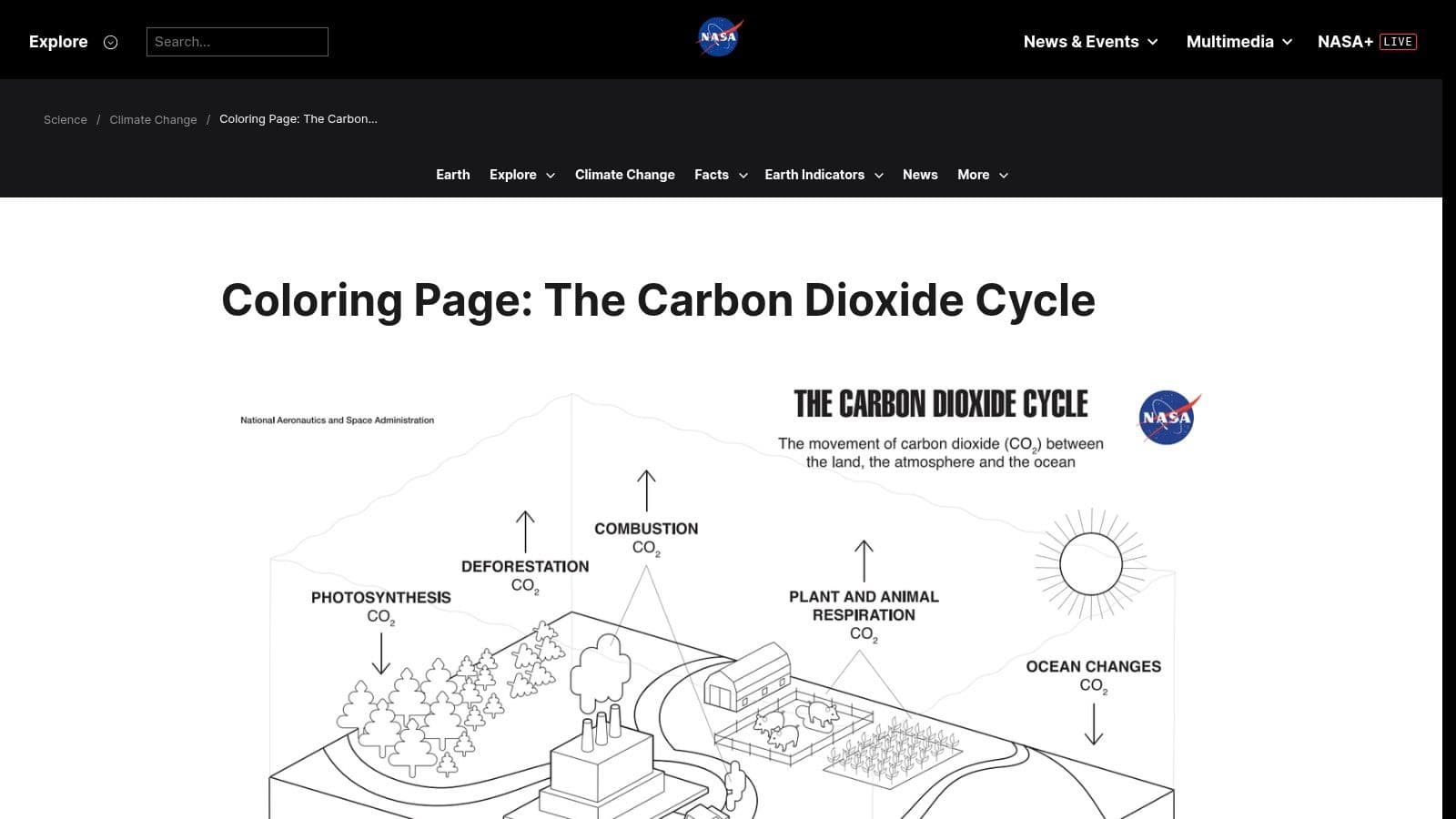 Teachers Pay Teachers, The Carbon Cycle: Worksheet (Easel & PDF)