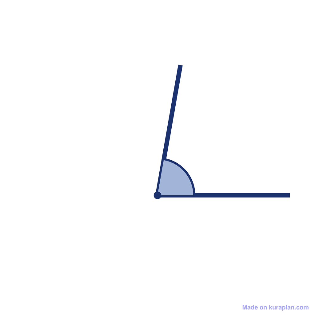 Angle — 80° (Acute Angle)