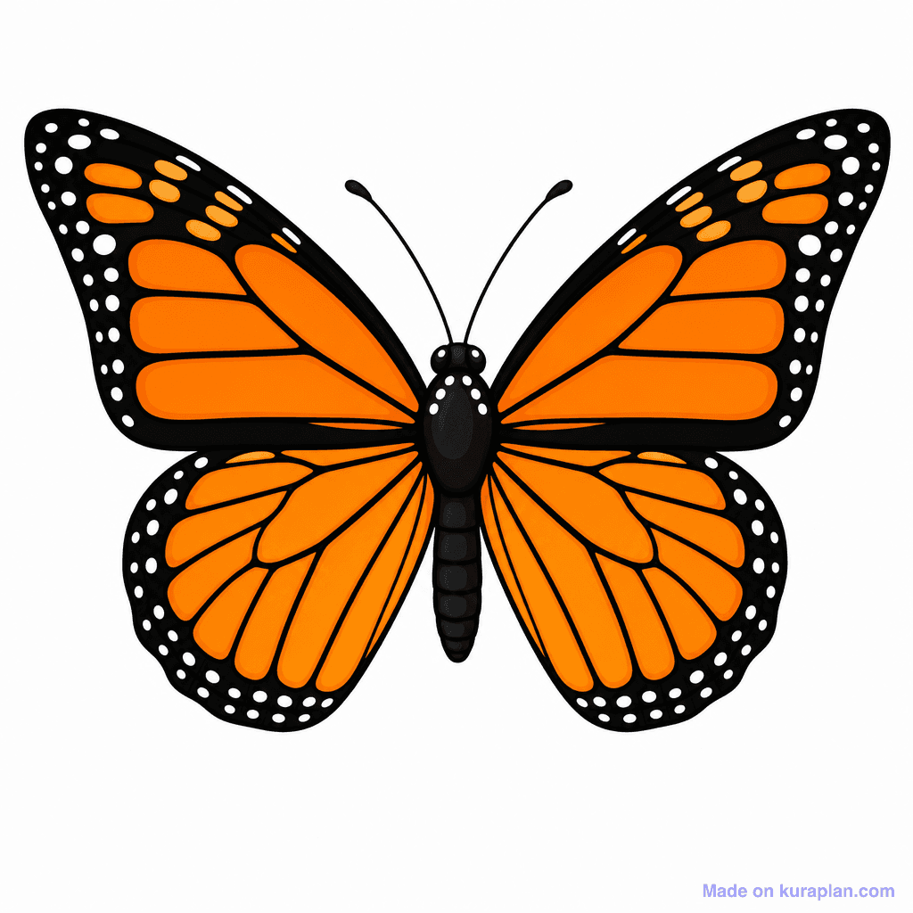 Animal Butterfly Monarch