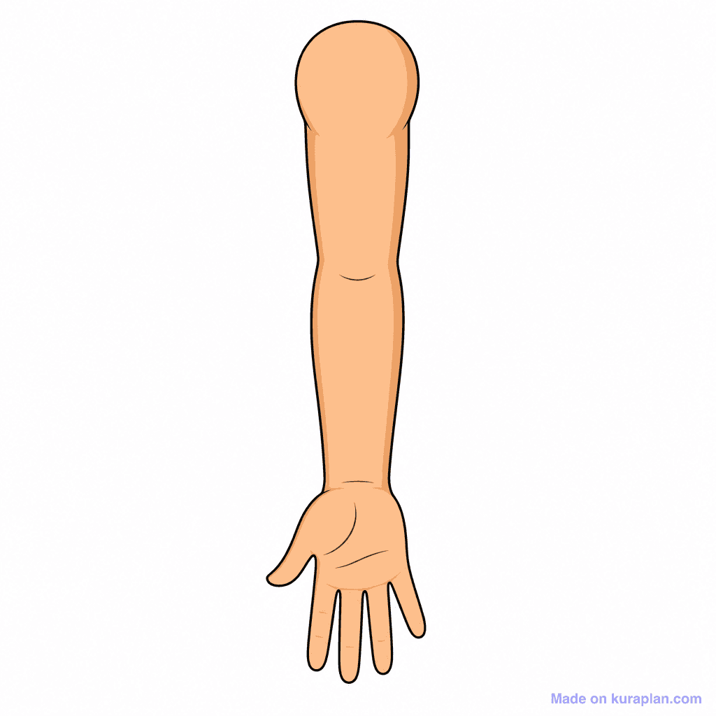 Body Arm Whole