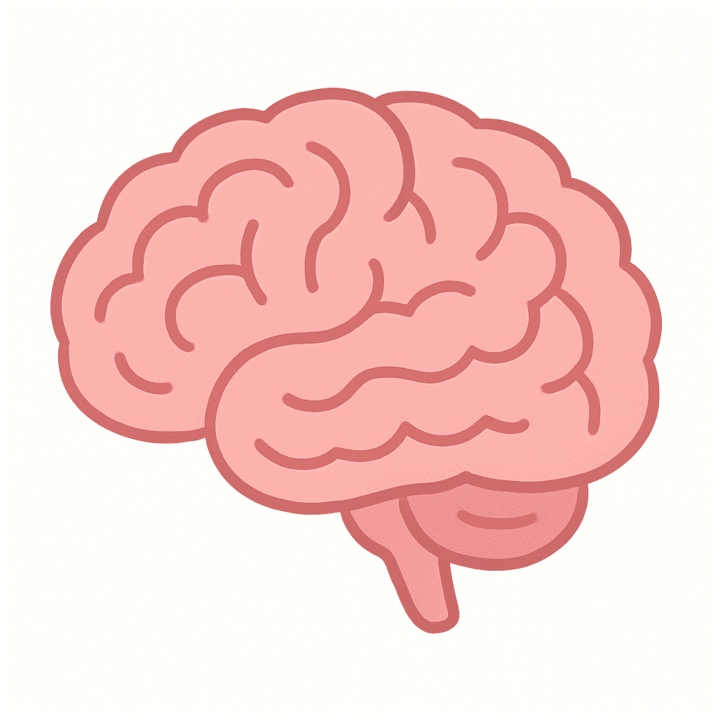 Brain (simple illustration)