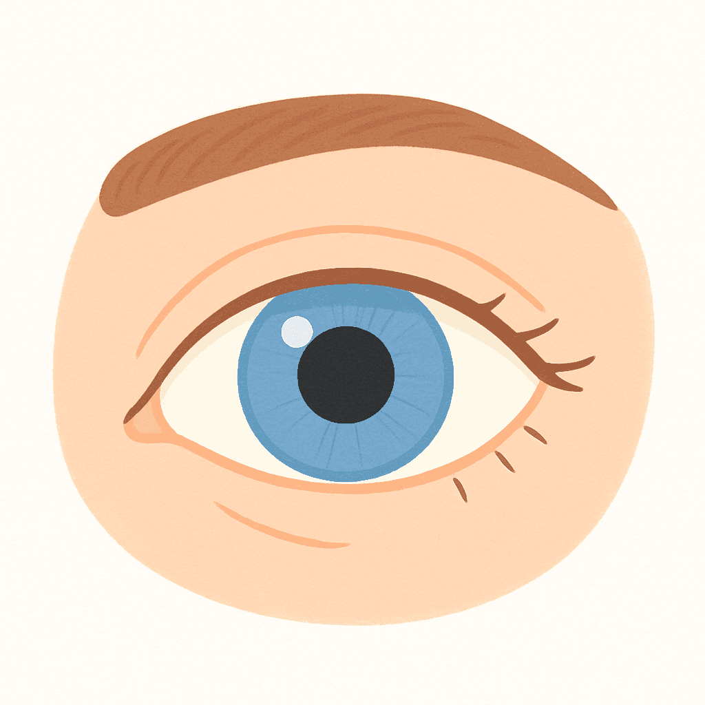 Eye (illustration)