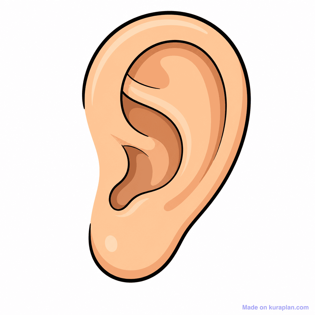 Body Face Ear Closeup
