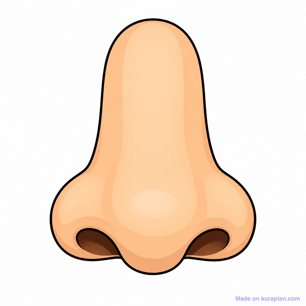 Body Face Nose Front