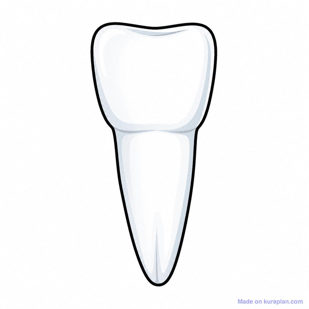 Body Face Tooth Single