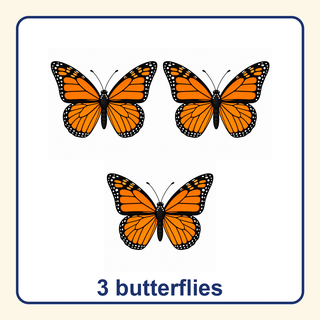 Collection — 3 butterflies