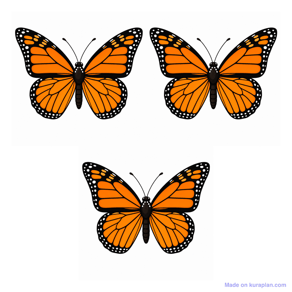 Collection — 3 butterflies