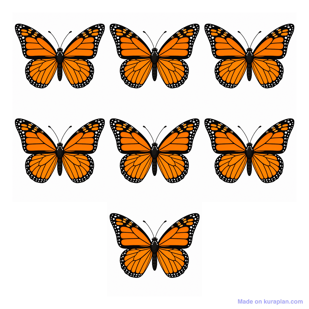 Collection — 7 butterflies