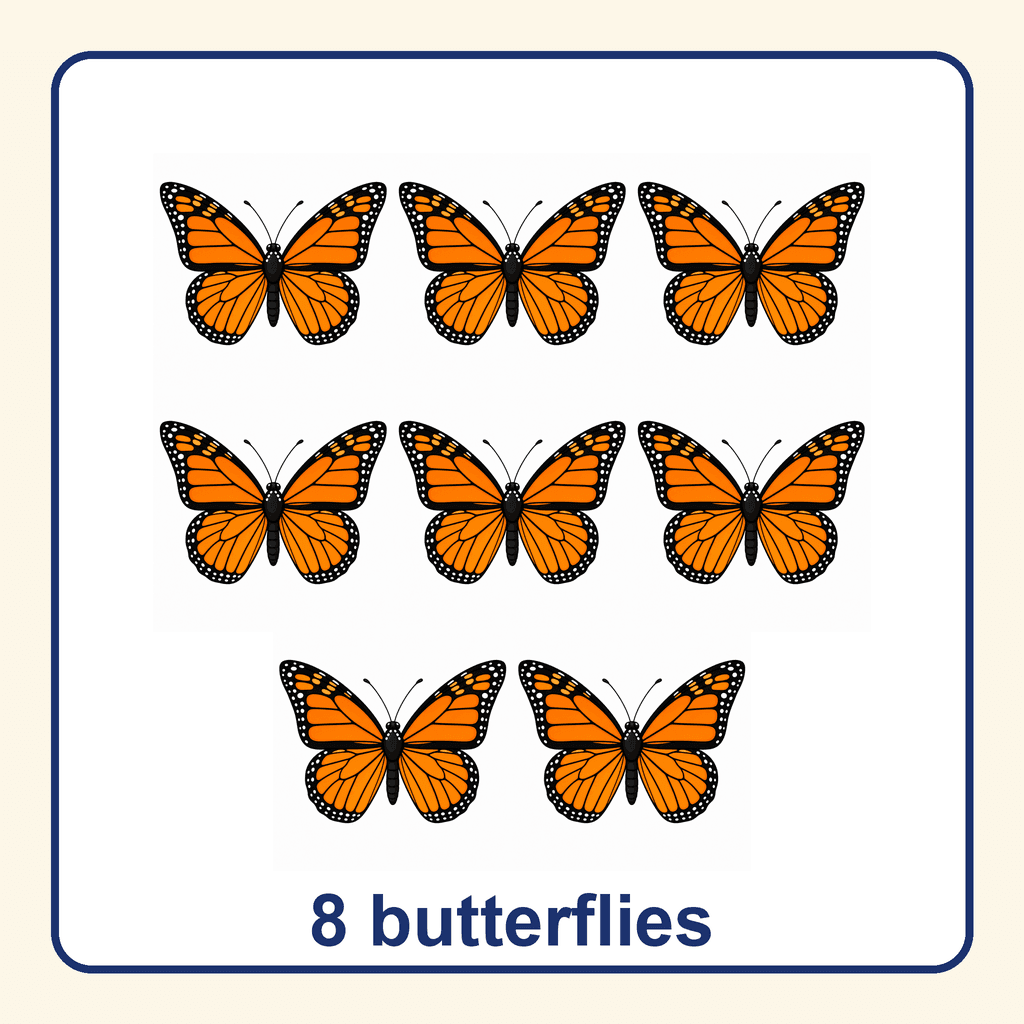 Collection — 8 butterflies