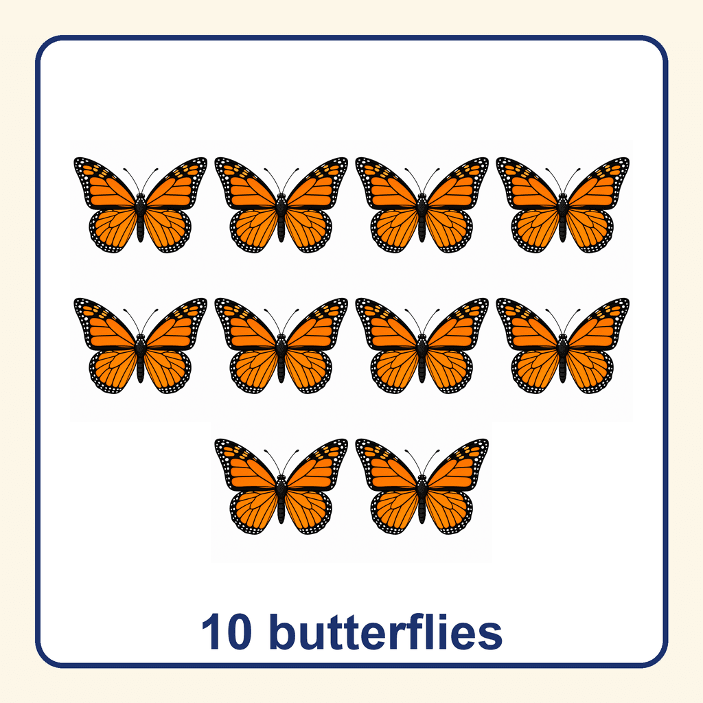Collection — 10 butterflies