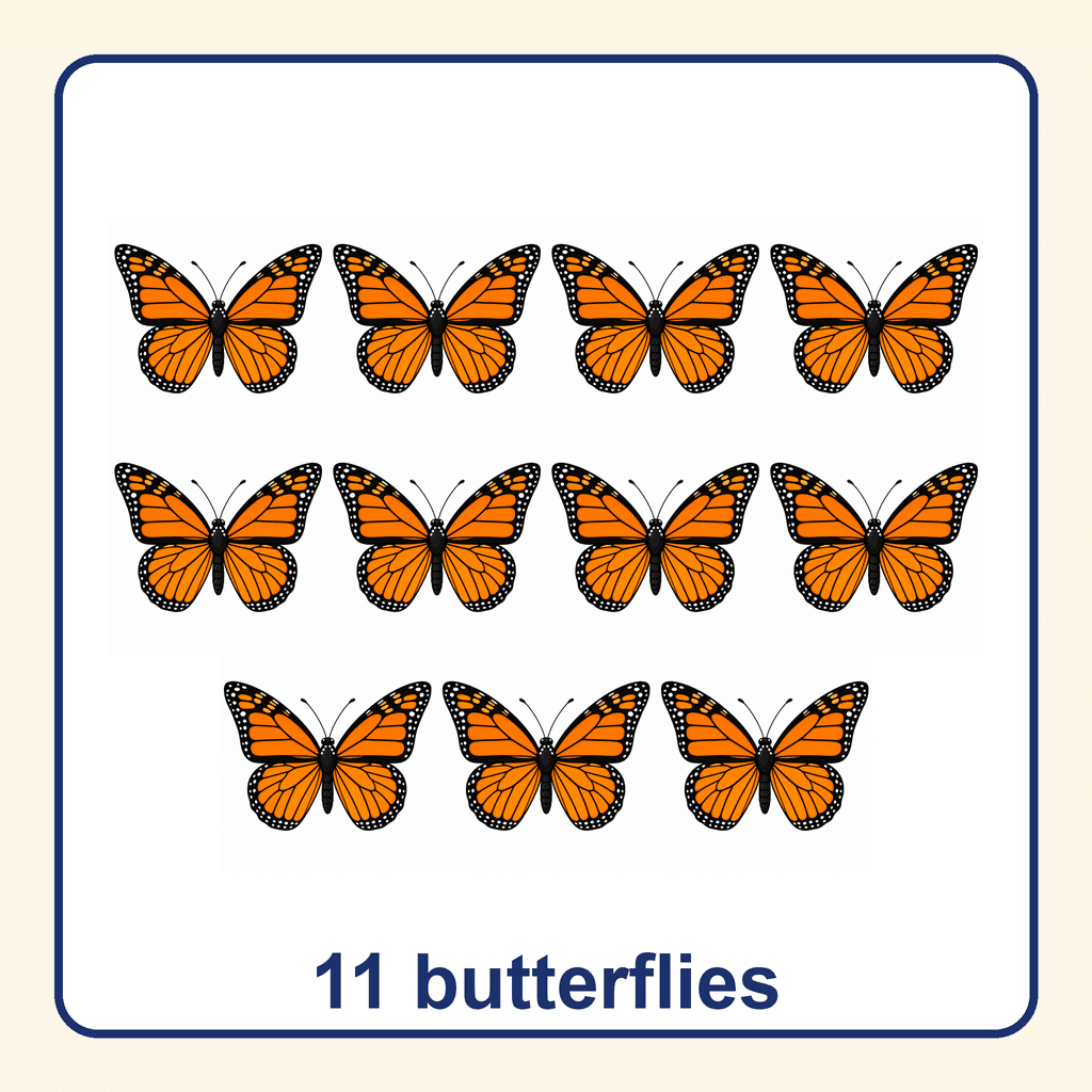 Collection — 11 butterflies