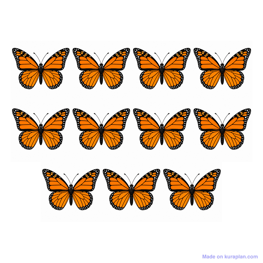 Collection — 11 butterflies