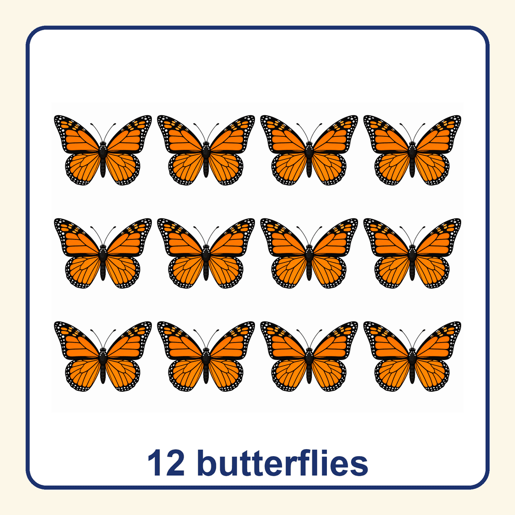 Collection — 12 butterflies