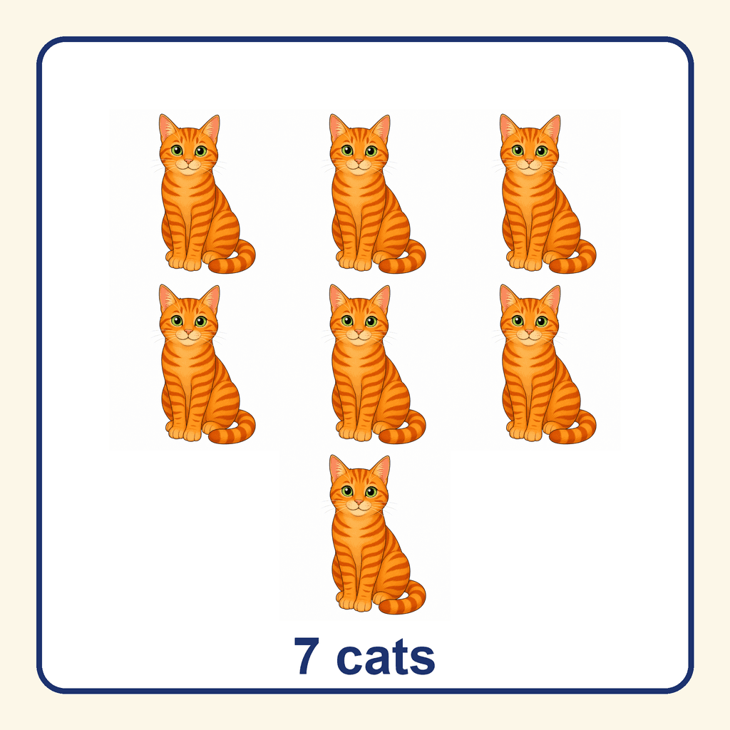 Collection — 7 cats