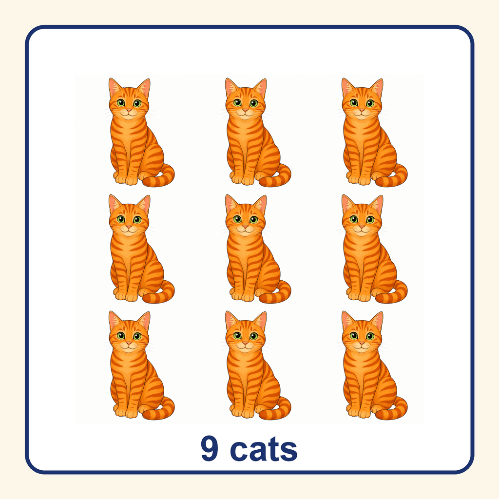 Collection — 9 cats
