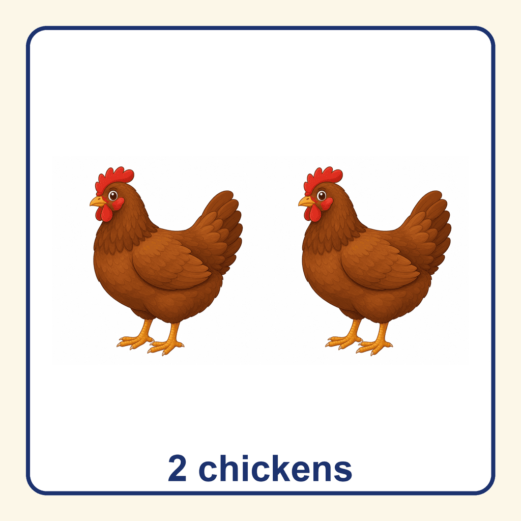 Collection — 2 chickens