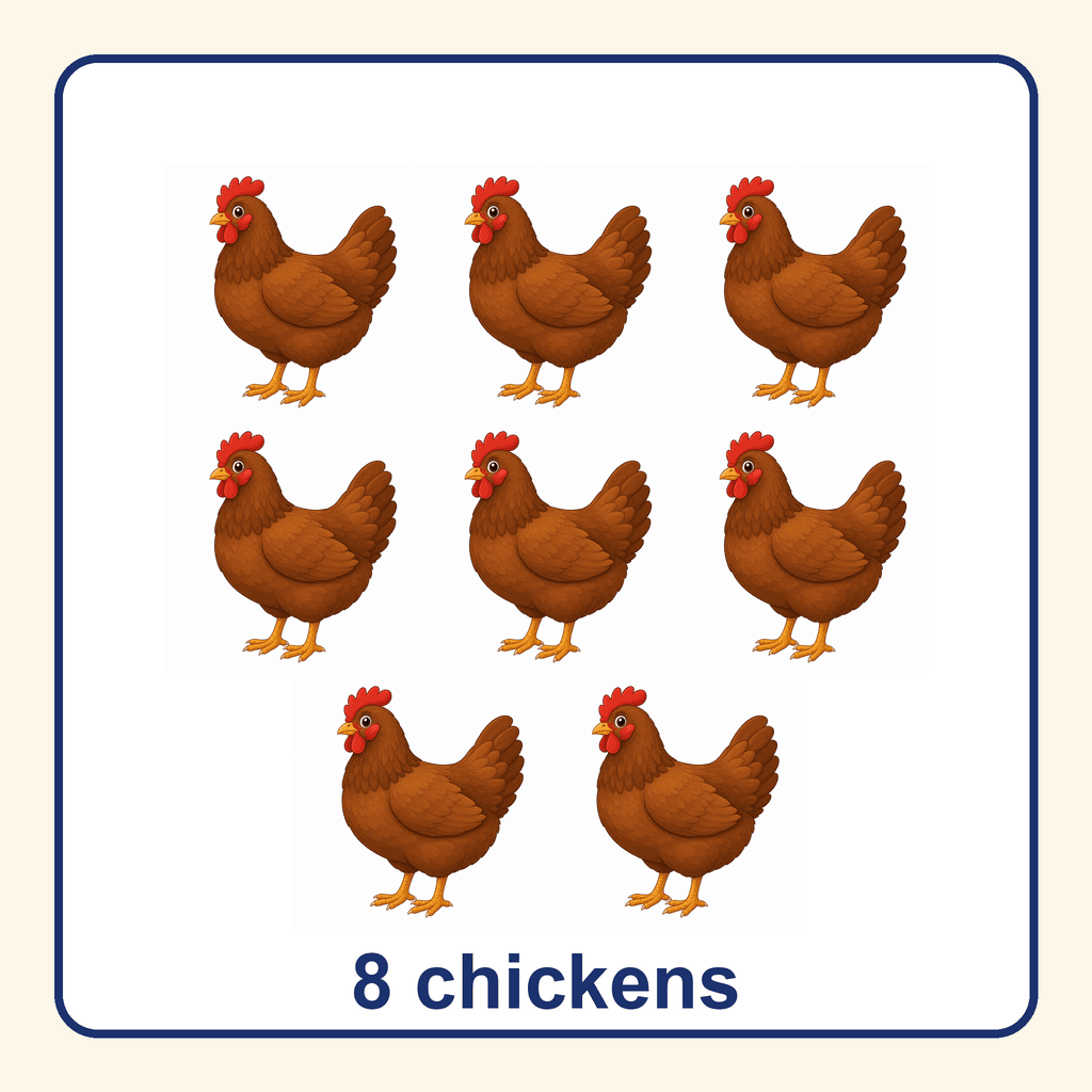 Collection — 8 chickens