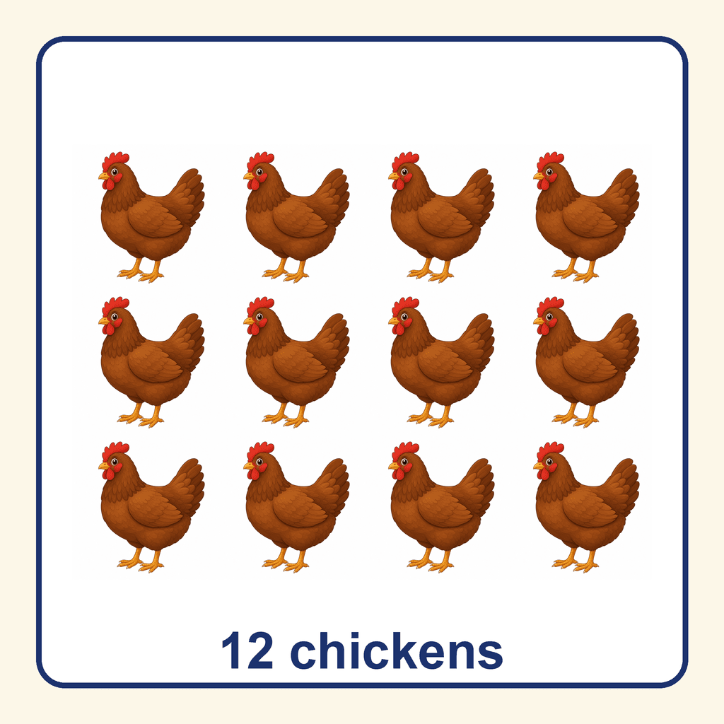 Collection — 12 chickens