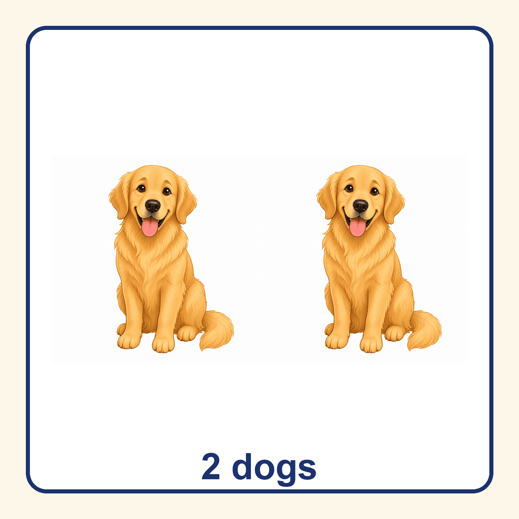 Collection — 2 dogs