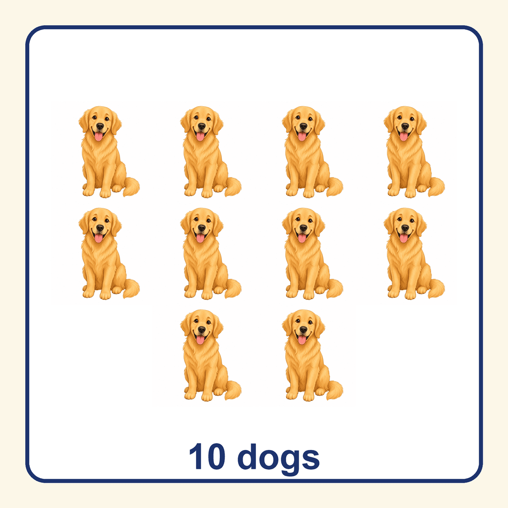 Collection — 10 dogs