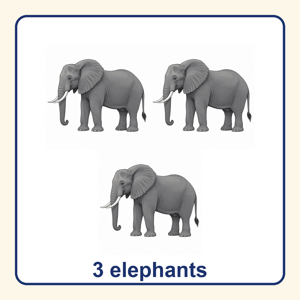 Collection — 3 elephants