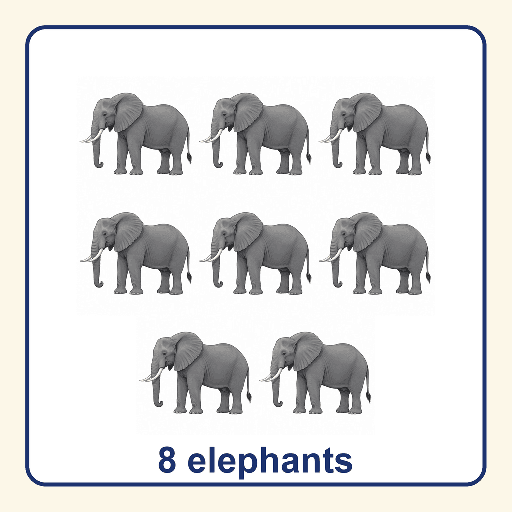Collection — 8 elephants
