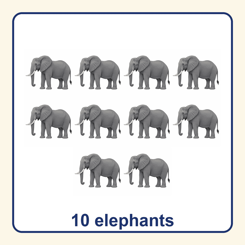 Collection — 10 elephants