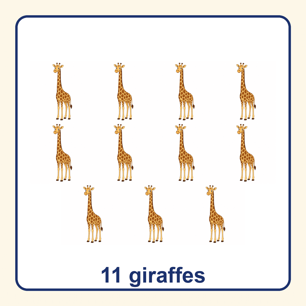 Collection — 11 giraffes