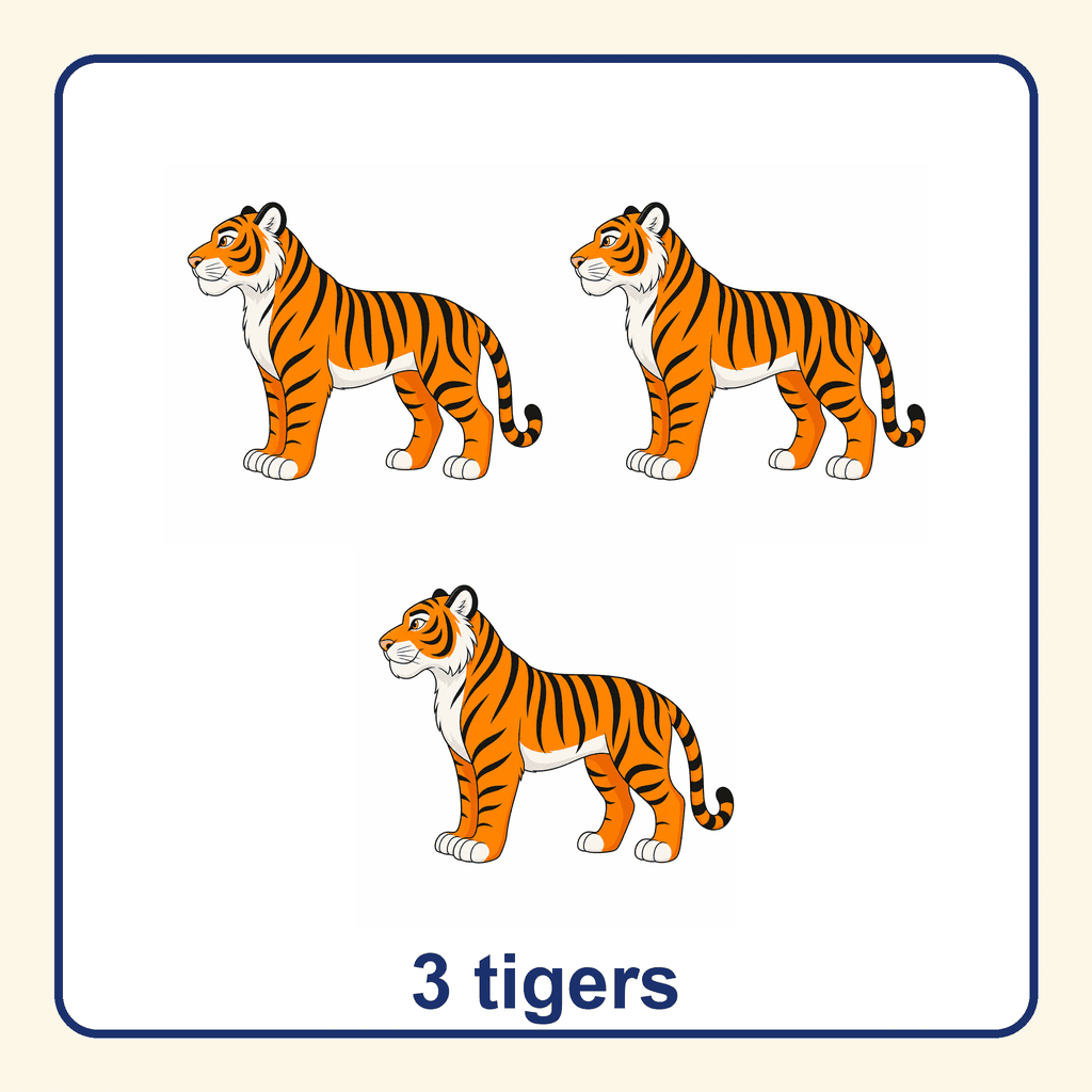 Collection — 3 tigers