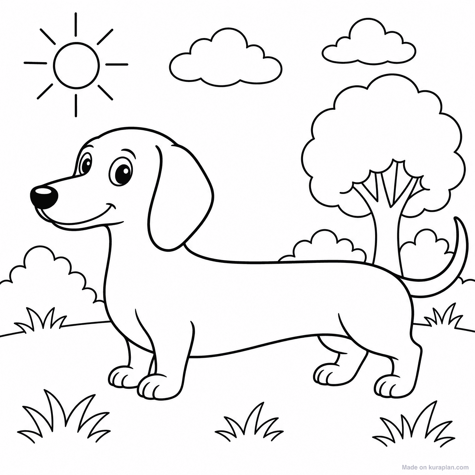 Dachshund Dog — Coloring Page