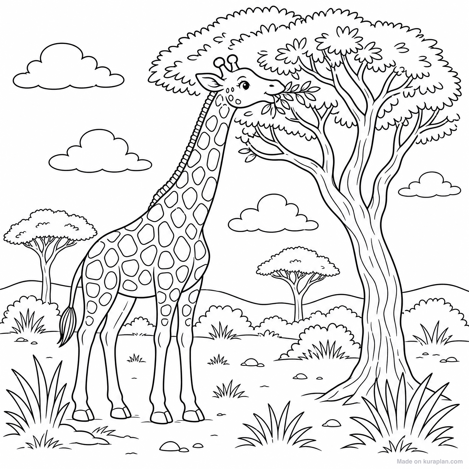 Giraffe Eating from Tree — Coloring Page