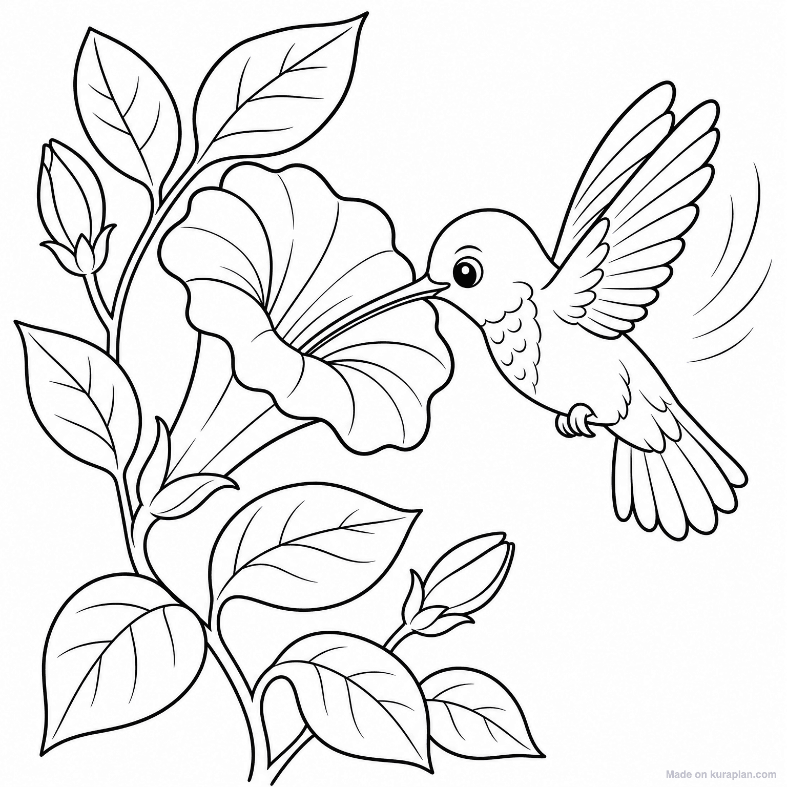 Hummingbird at Flower — Coloring Page