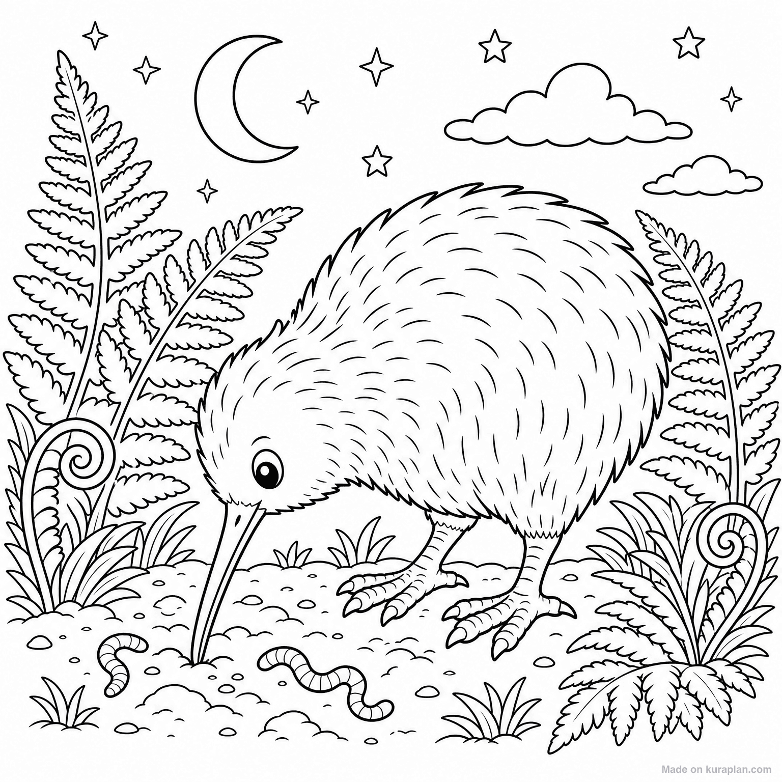 Kiwi Bird (NZ) — Coloring Page