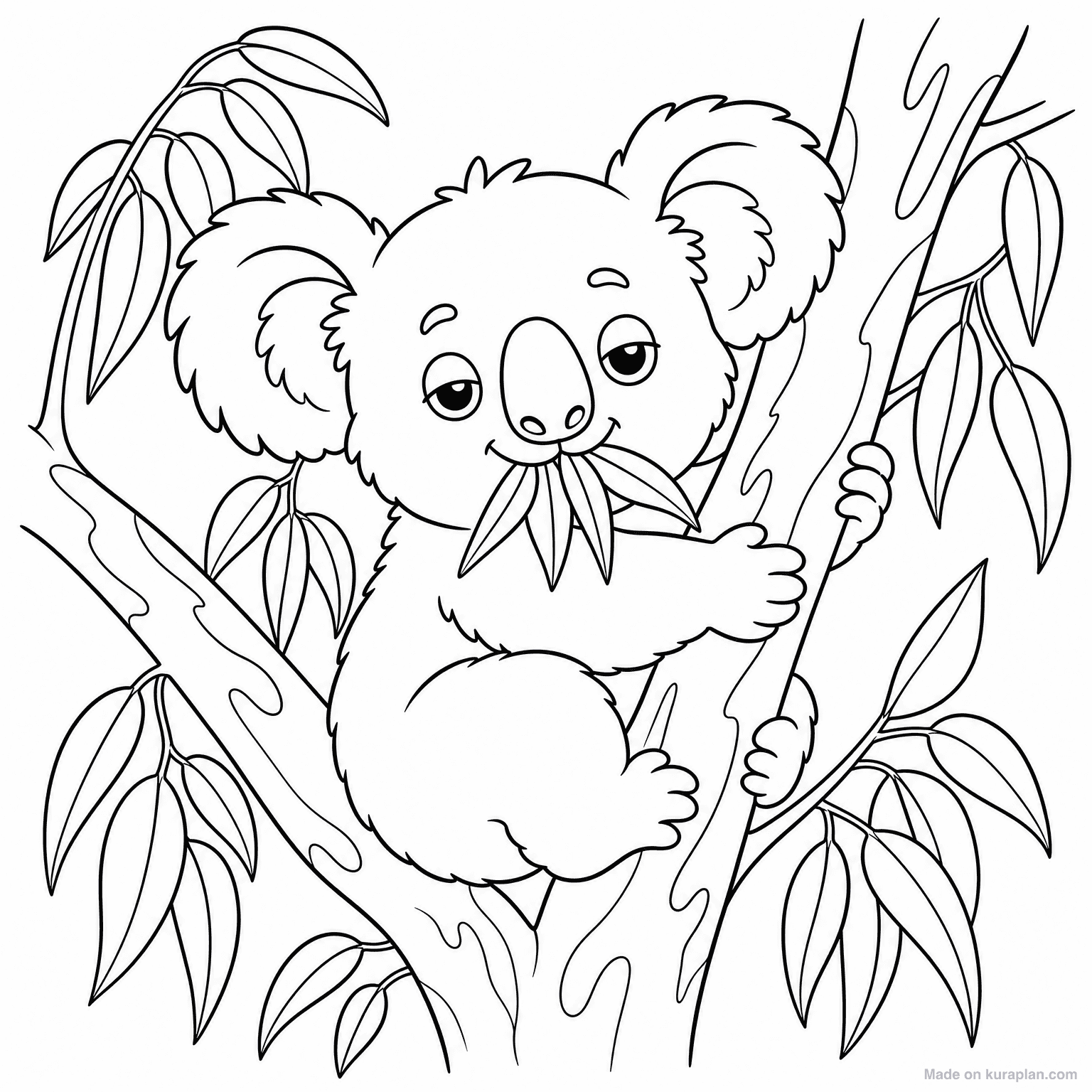 Koala in Eucalyptus Tree — Coloring Page