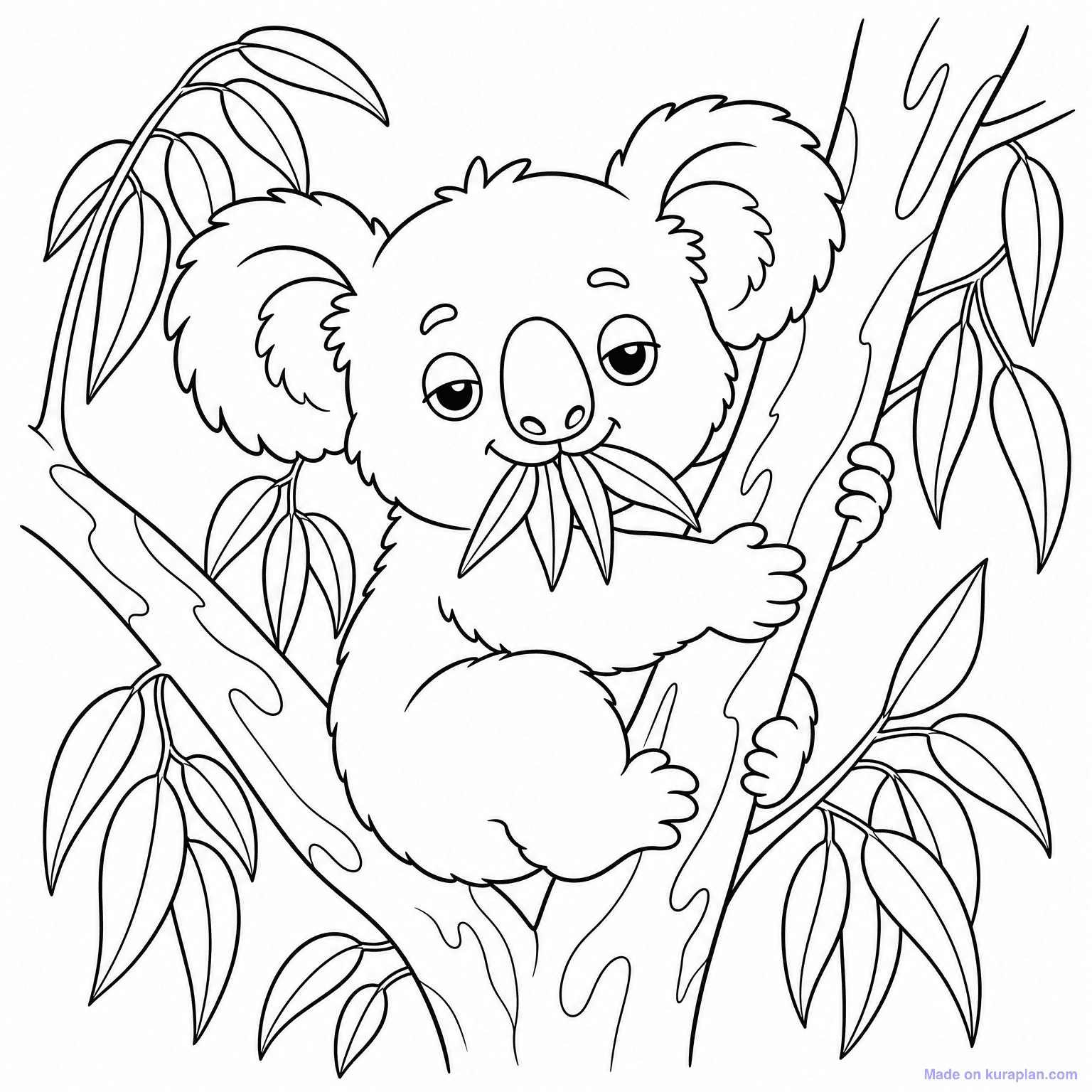 Koala in Eucalyptus Tree — Coloring Page