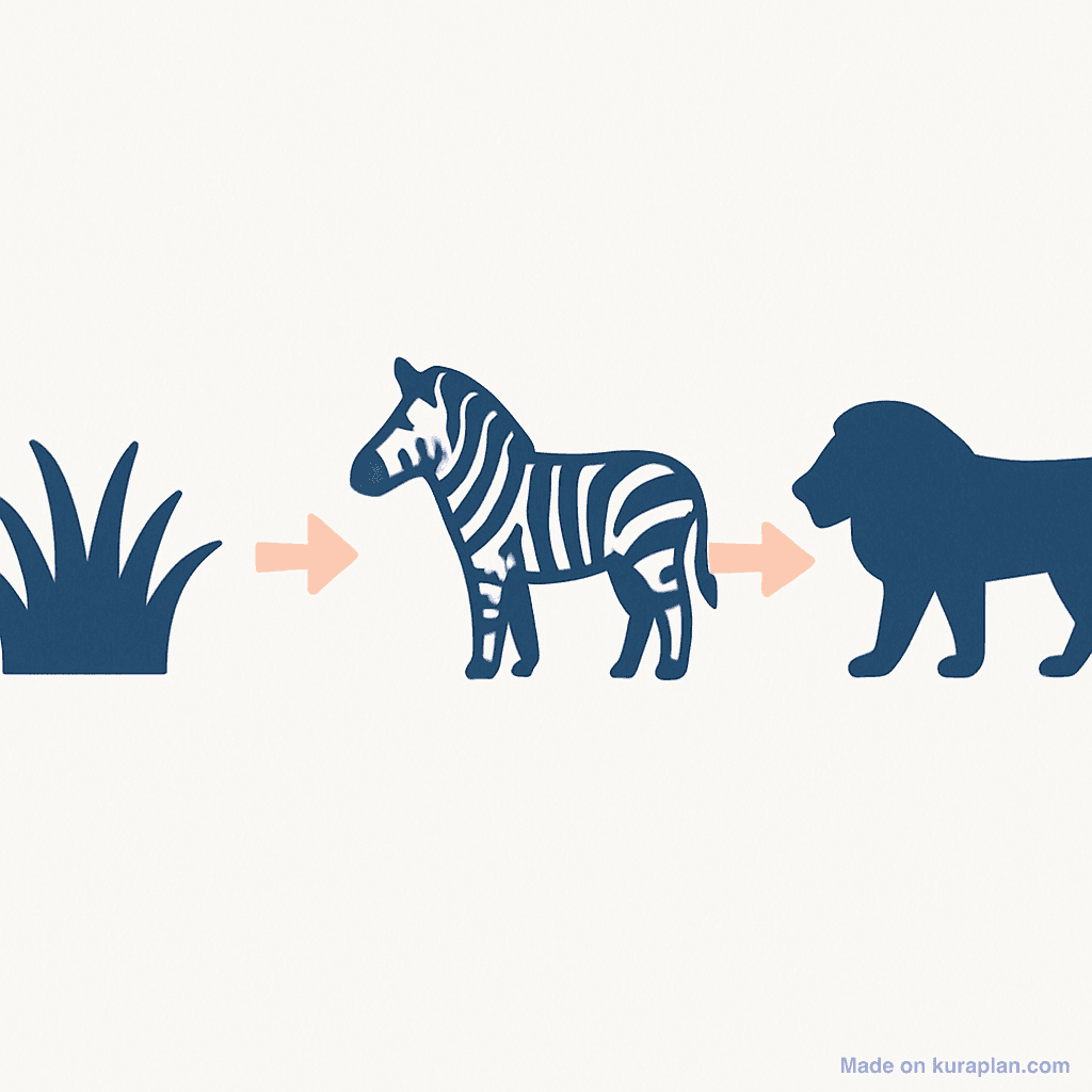 Food chain — grass to lion
