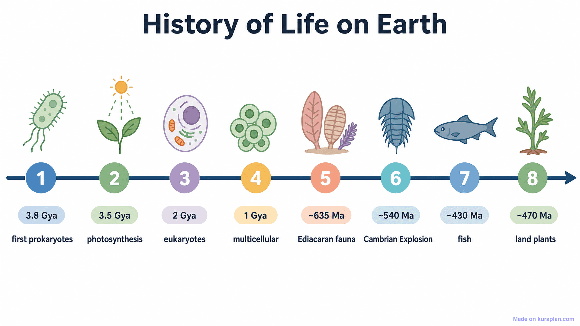 History of Life on Earth Timeline