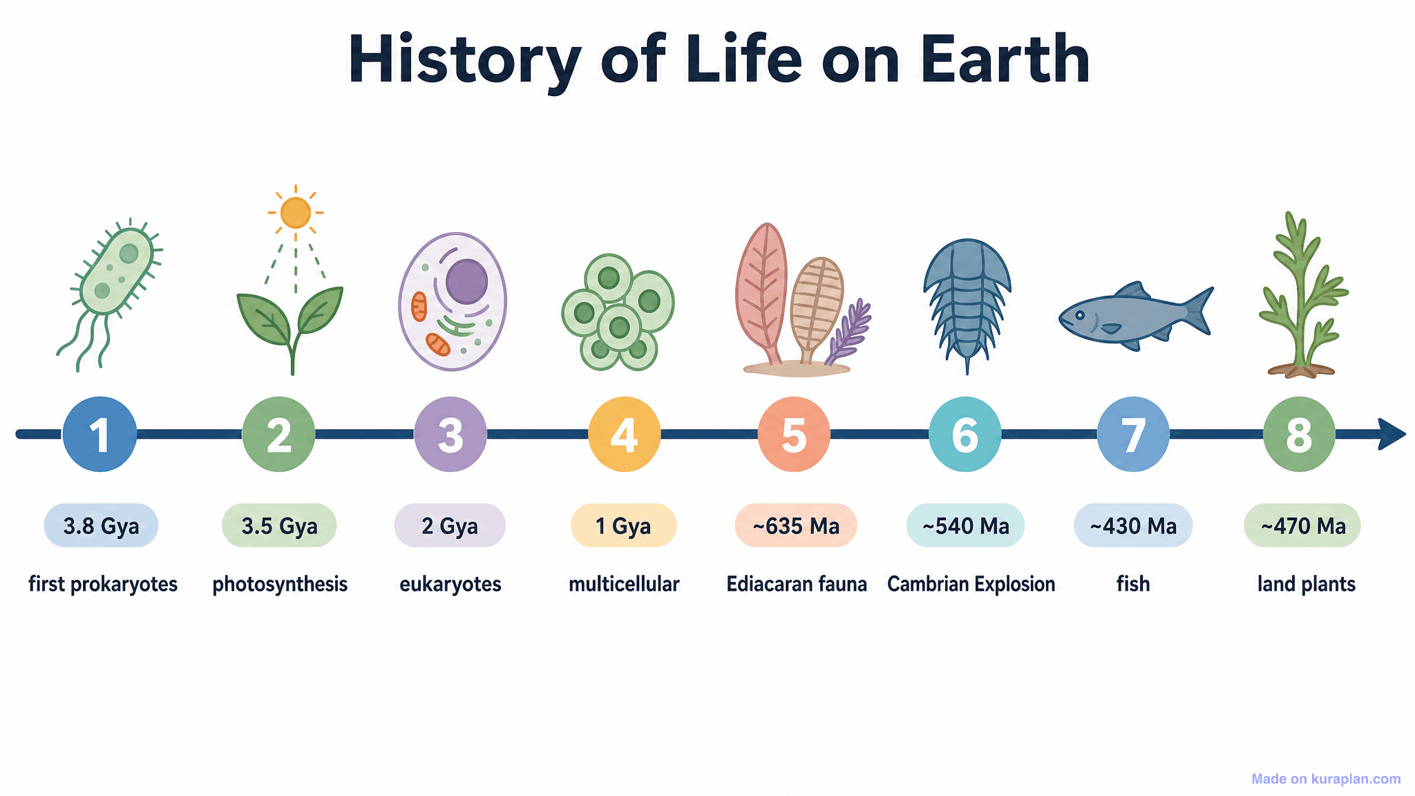 History of Life on Earth Timeline