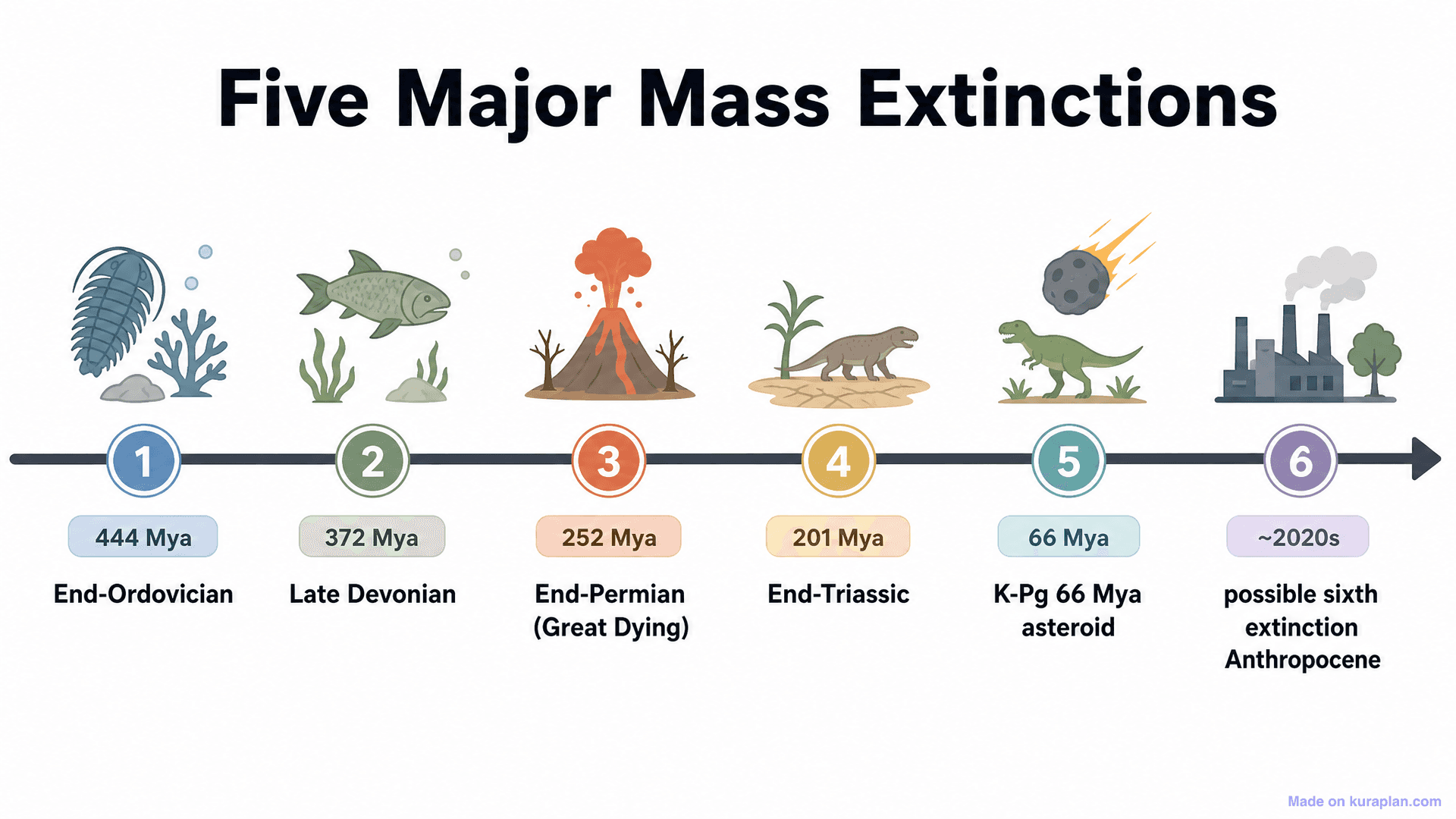 Five Major Mass Extinctions Timeline
