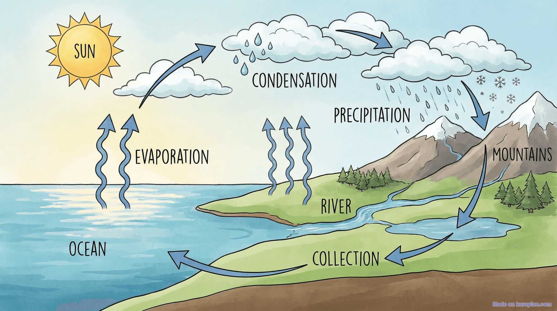 Water cycle diagram for earth science education