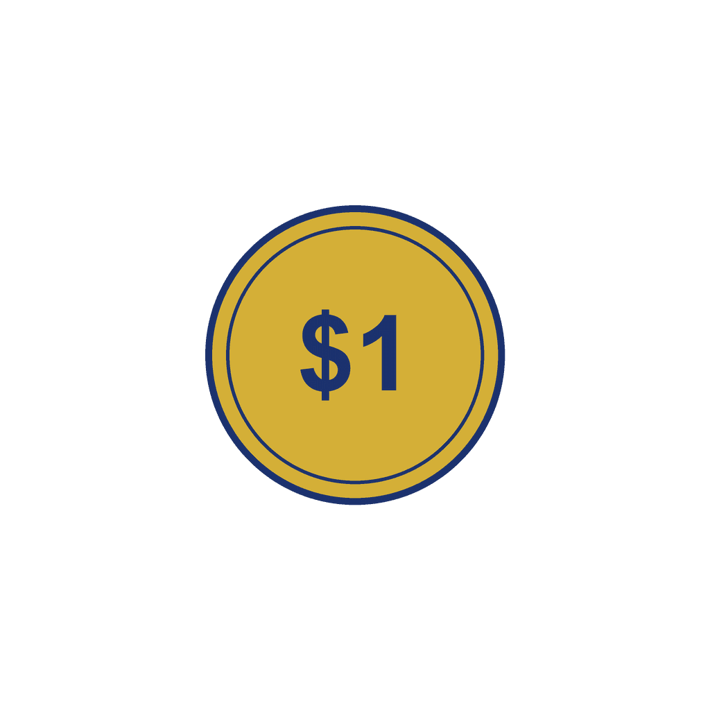 NZ Coin — $1