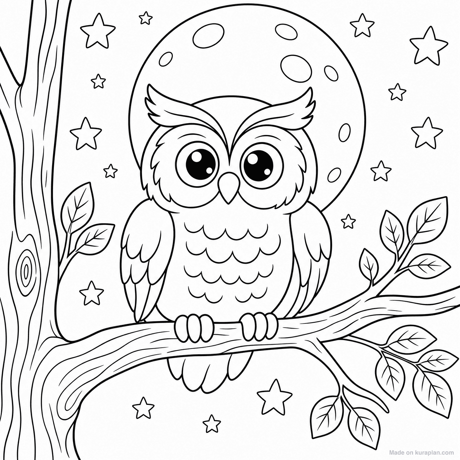 Owl on Tree Branch — Coloring Page