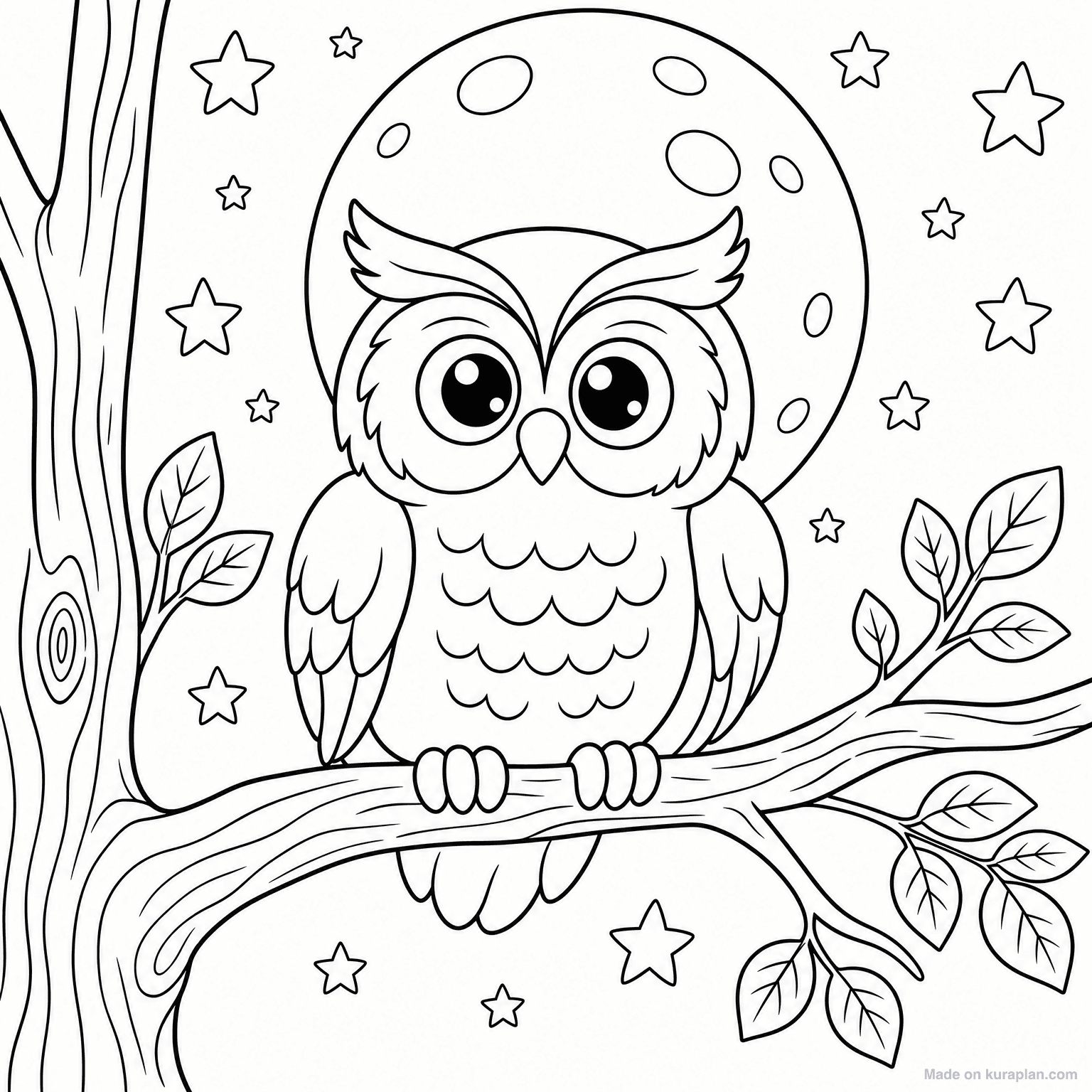Owl on Tree Branch — Coloring Page