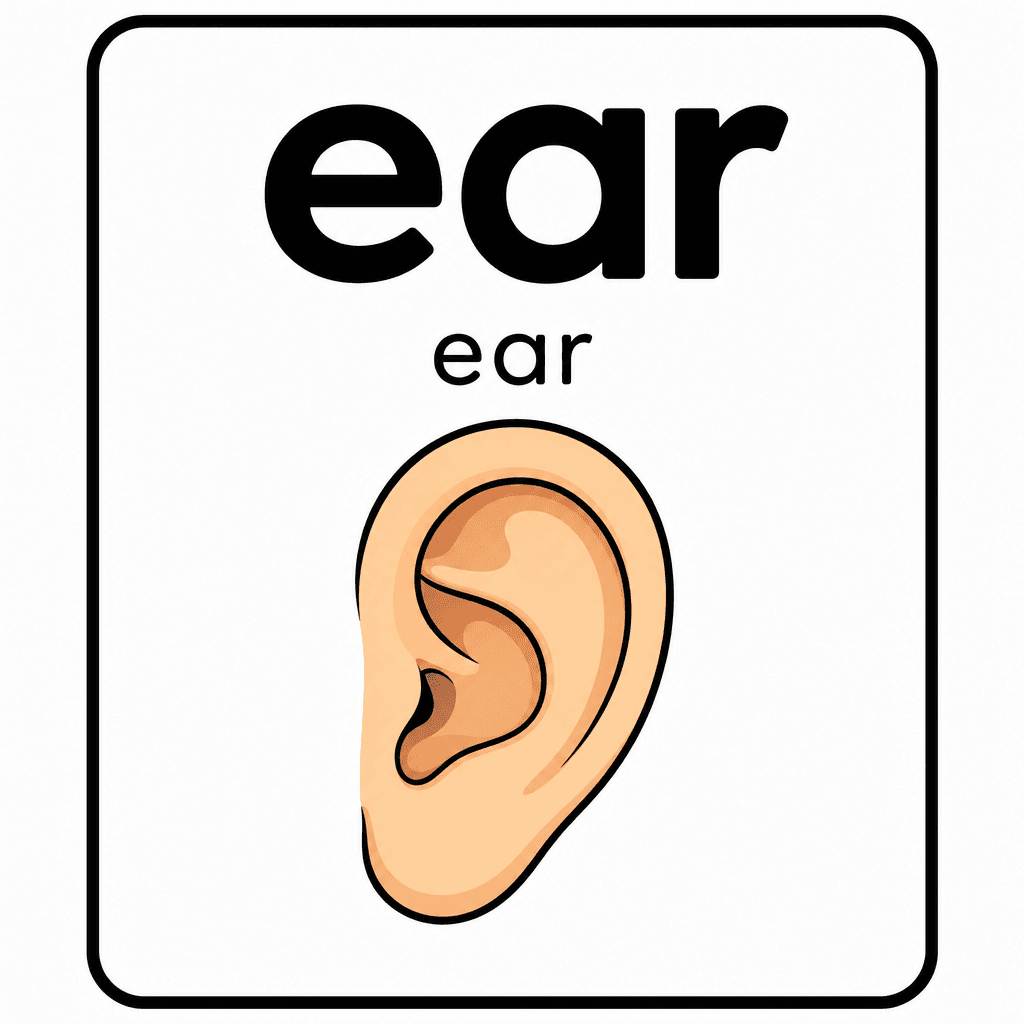 Phonics Sound "ear" — ear