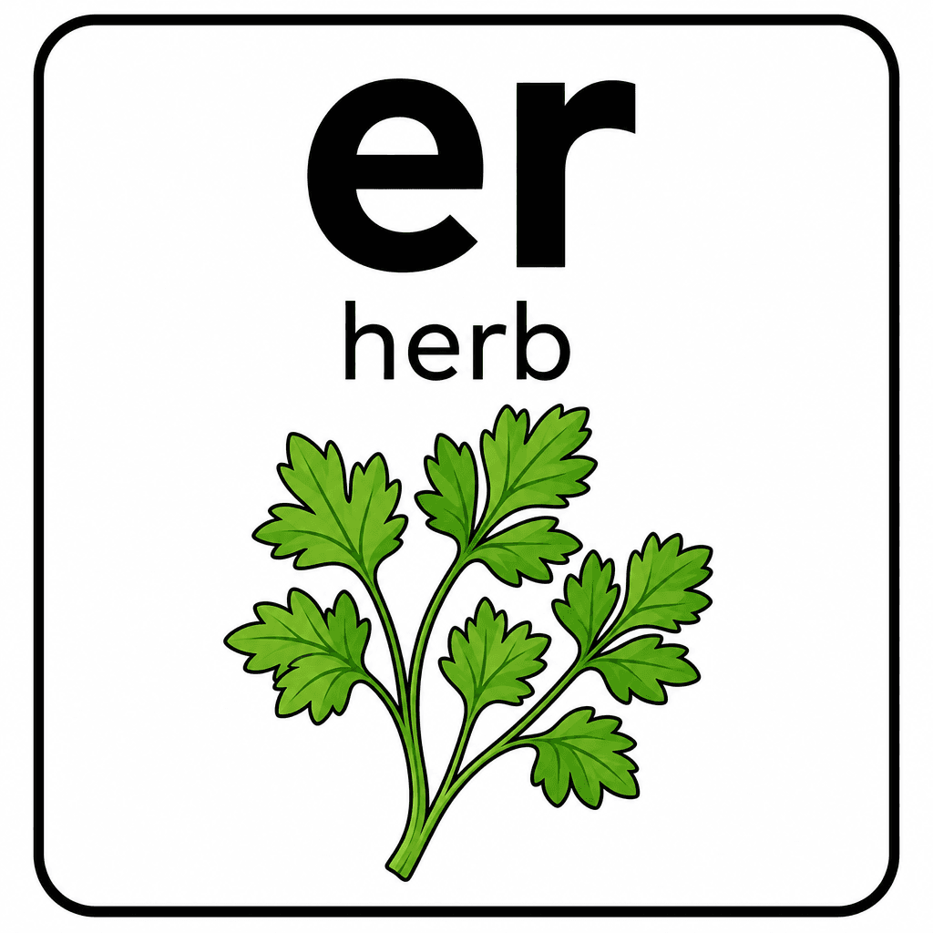 Phonics Sound "er" — herb