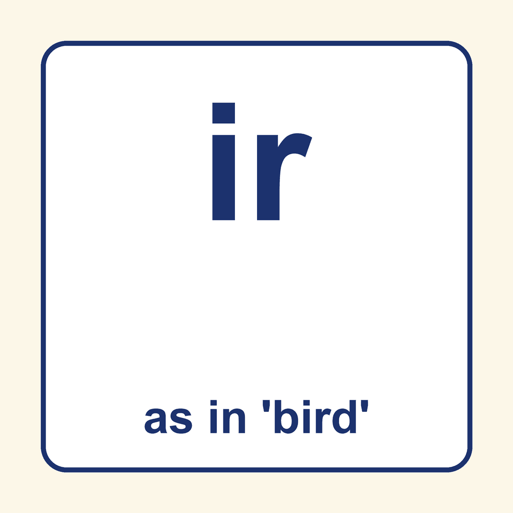 Phonics Vowel Digraph — 'ir' as in bird