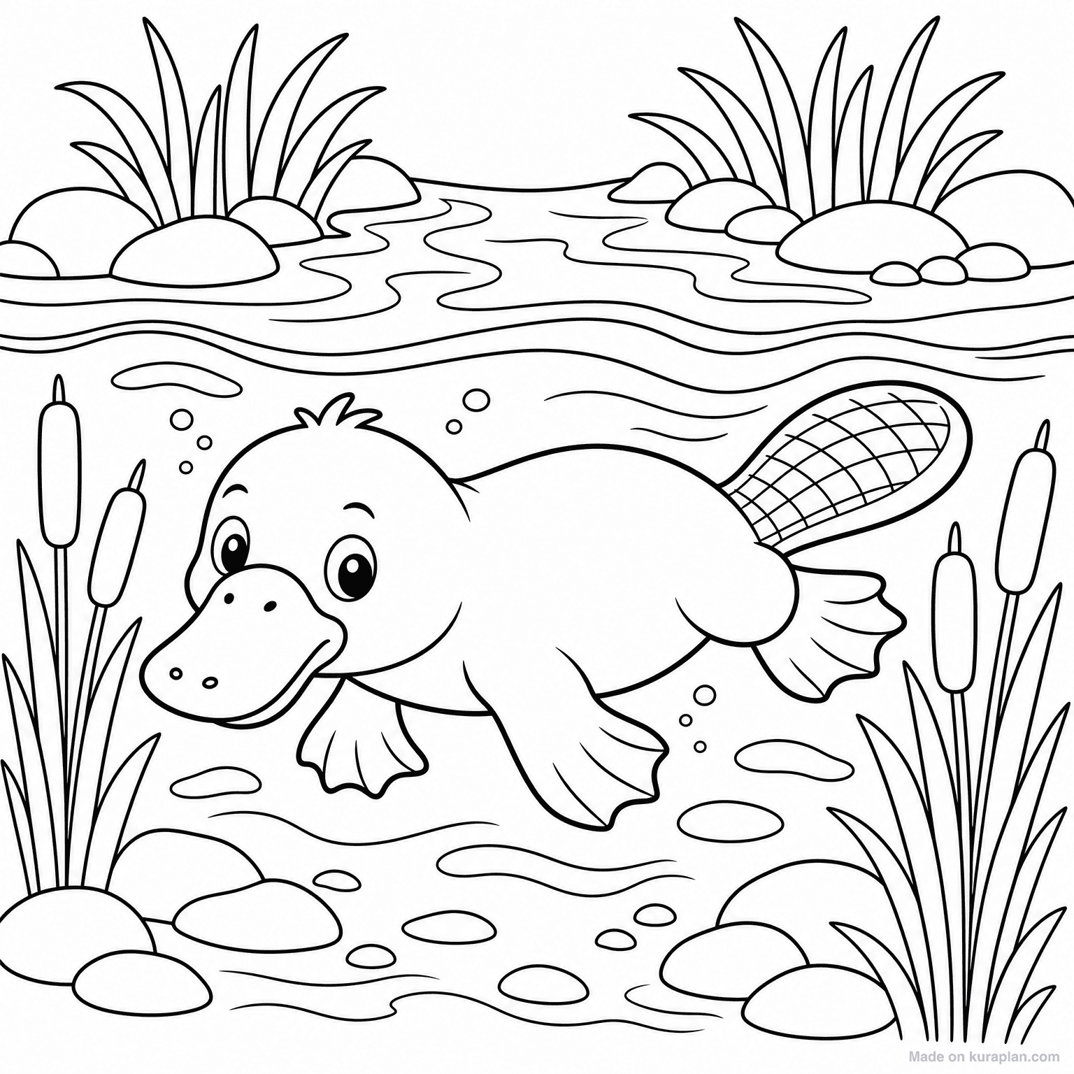 Platypus in River — Coloring Page