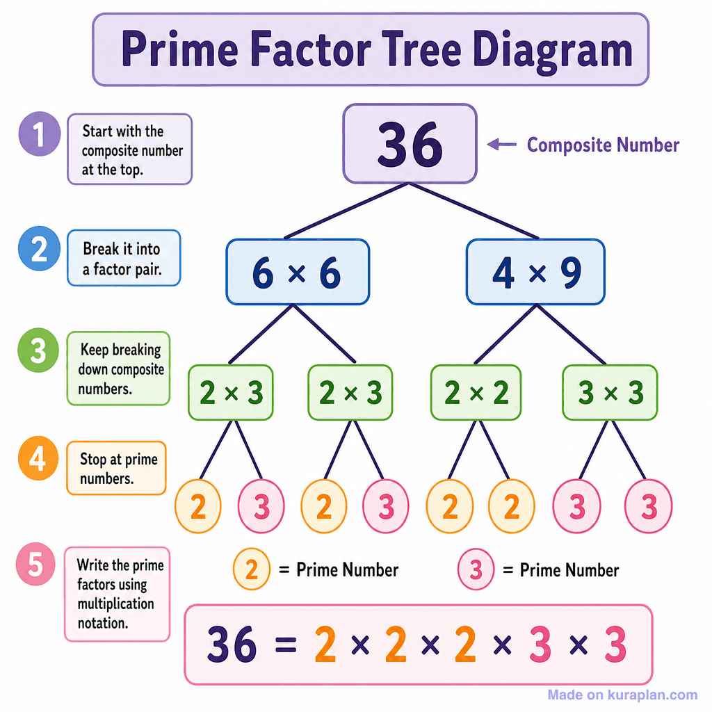 Prime Factor Tree Diagram (simple)