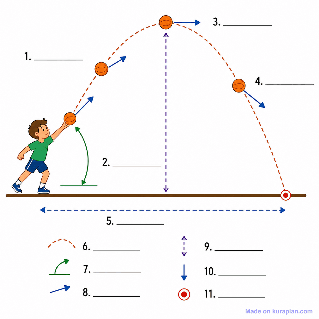 Projectile Motion in Sport (simple, unlabeled)
